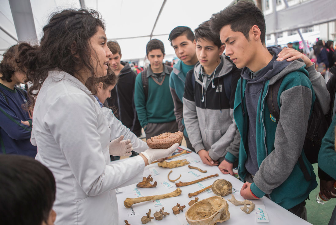 Arqueología: la nueva tendencia en la investigación escolar