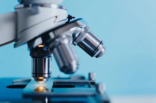 Conociendo la investigación de los virus y el zoológico microbiológico llamado Chile
