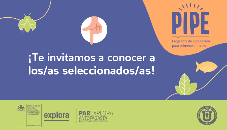 Resultados de selección Programa de Indagación de Primeras Edades en la Región de Antofagasta