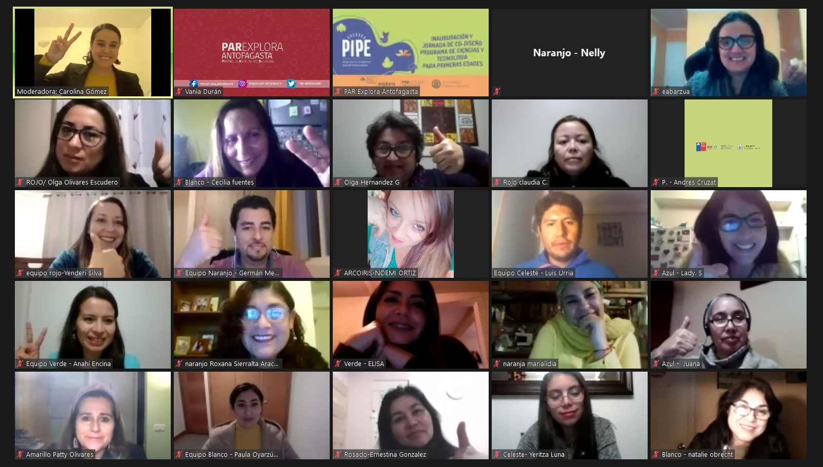 Más de 100 personas en inauguración virtual del Programa de Ciencias y Tecnología para Primeras Edades (PIPE)