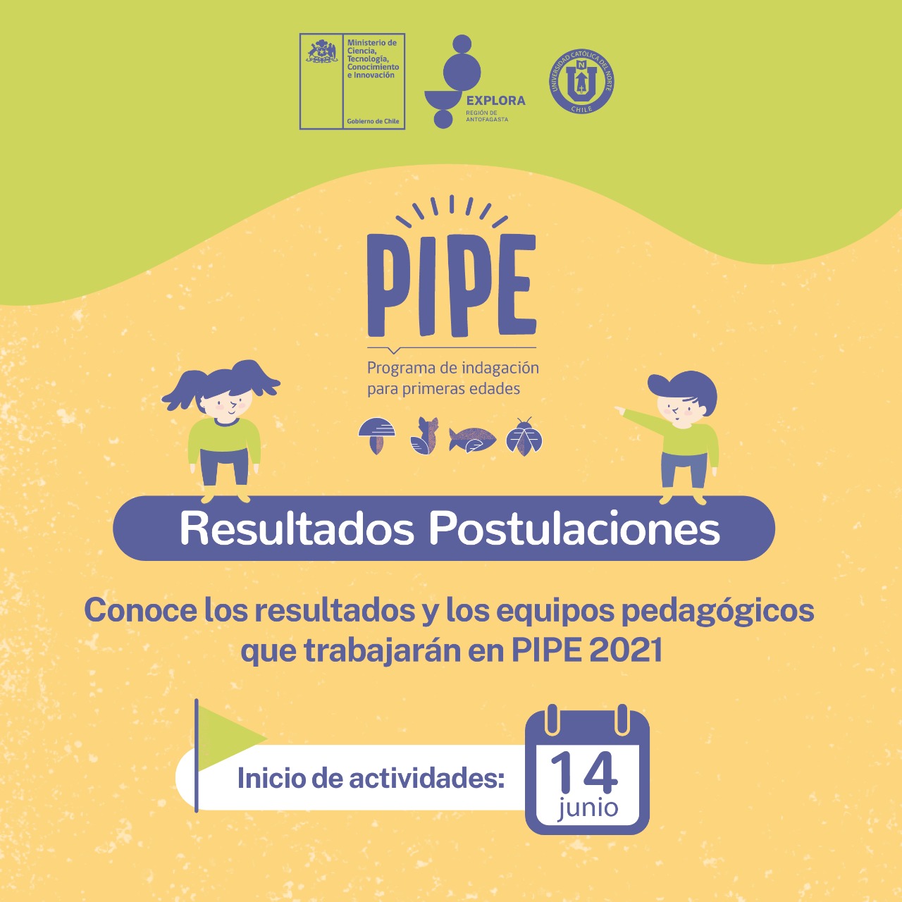 PIPE 2021: Revisa los resultados de los equipos pedagógicos seleccionados