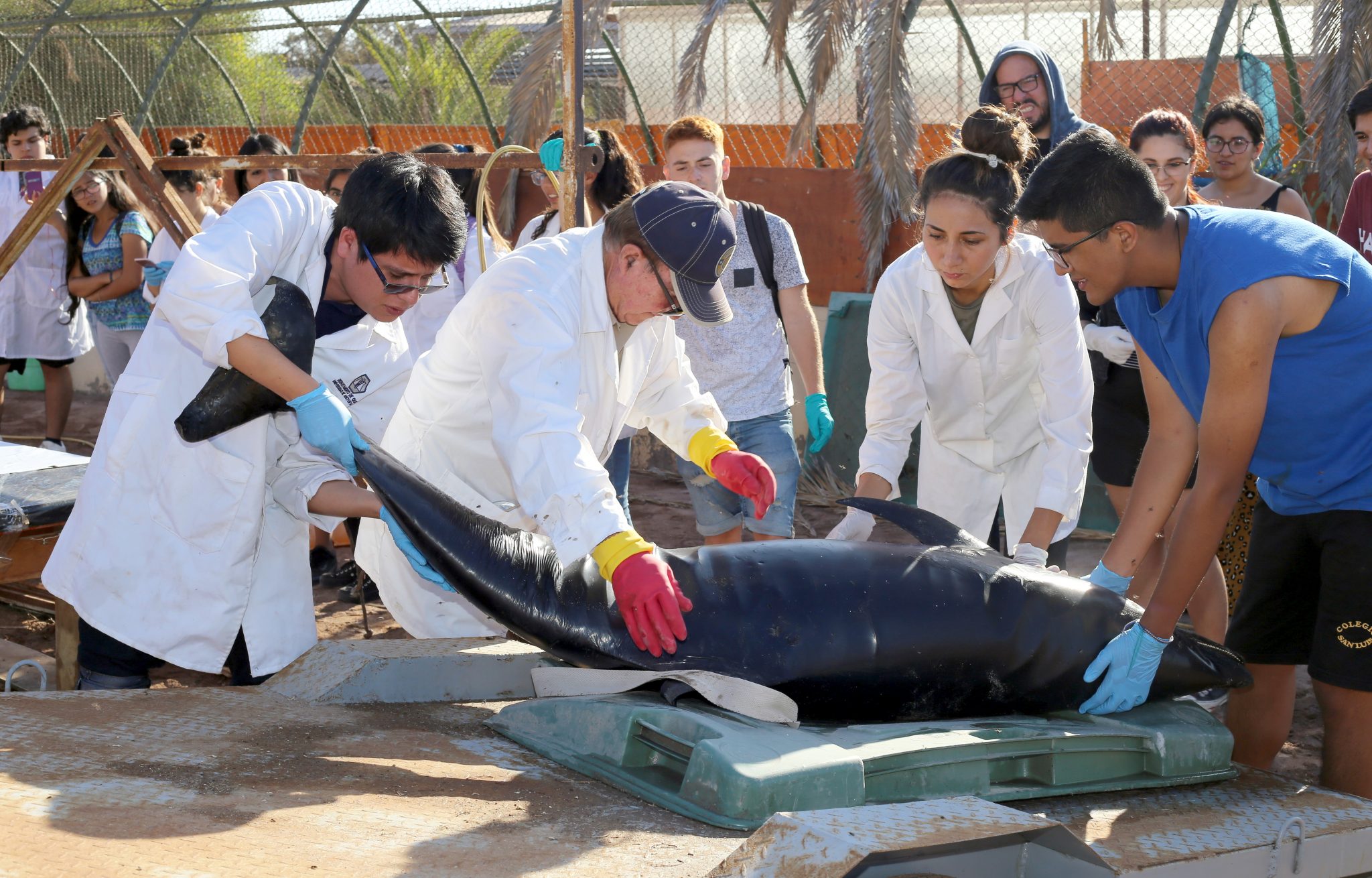 CREA ANTOFAGASTA, EL TRABAJO TRANSDISCIPLINARIO EN LA CIENCIA AL SERVICIO DE LA COMUNIDAD