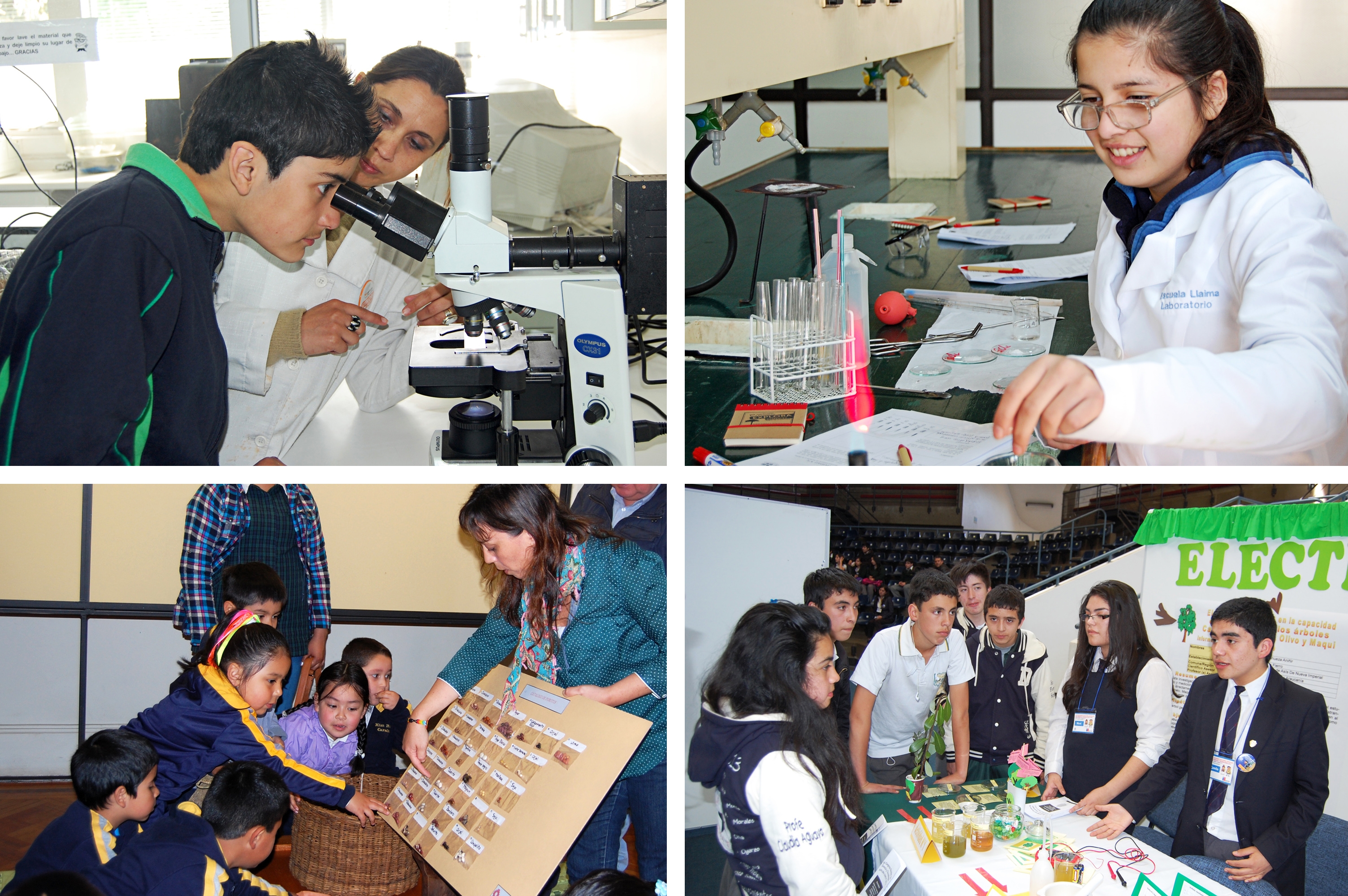 Más de 300 actividades efectuará el Proyecto EXPLORA CONICYT Araucanía en el segundo semestre