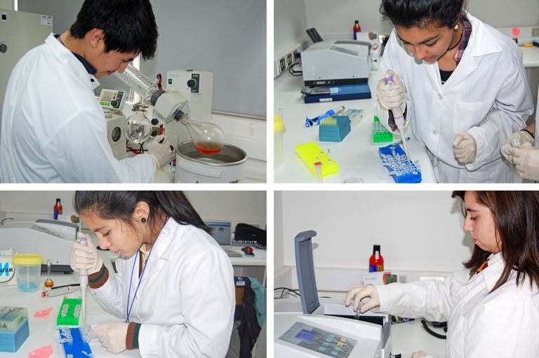 El Laboratorio de Bioquímica de Suelos de la Ufro recibe la visita de cuatro duplas de estudiantes