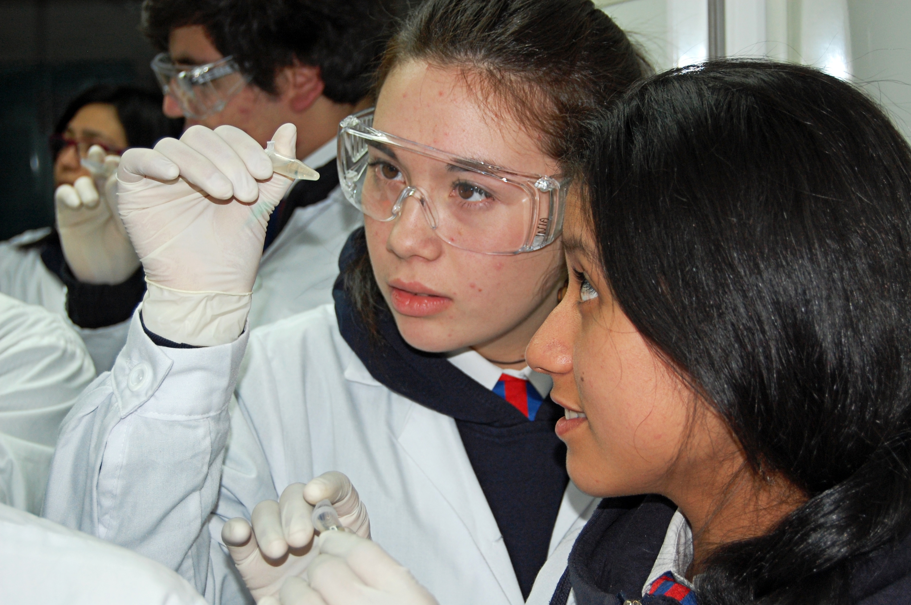 Estudiantes del Colegio Louis Pasteur realizan extracción de ADN en INIA Carillanca
