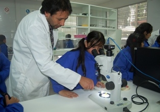 Jorge Farías, Coordinador Ejecutivo EXPLORA CONICYT Araucanía: “Es necesario ver la investigación como inversión"