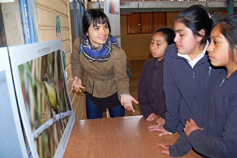 El jueves finaliza plazo para postular al taller “Migración de pájaros”