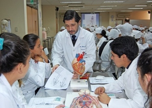 Un encuentro con el mundo de la anatomía tuvieron estudiantes secundarios en U. Mayor