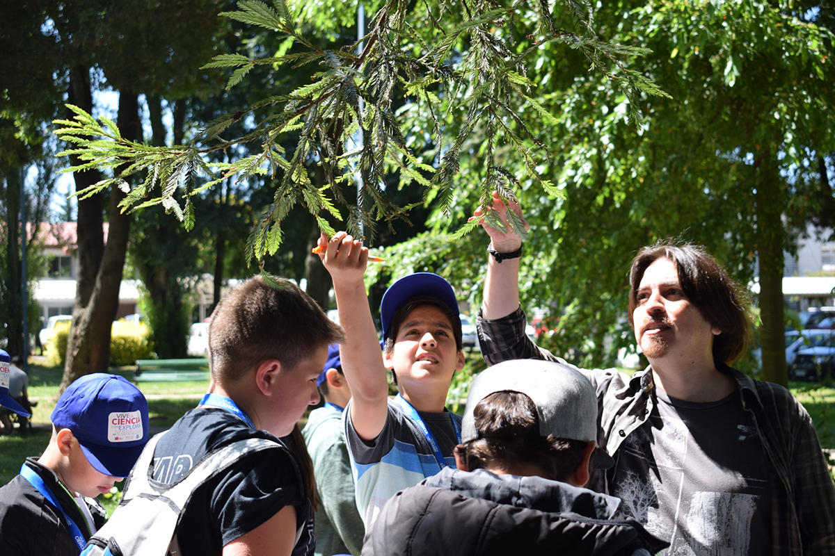 Estudiantes conocen más sobre especies arbóreas gracias a entretenido taller