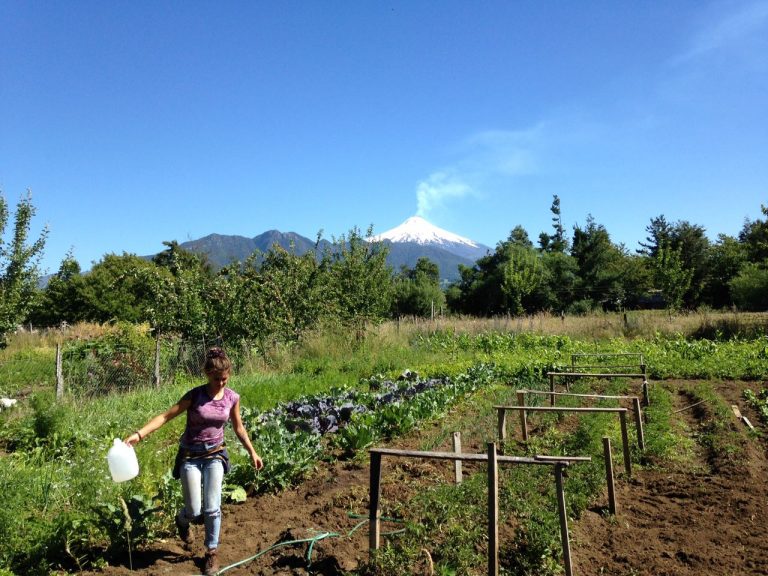 Convencidos de que una huerta puede cambiar el mundo