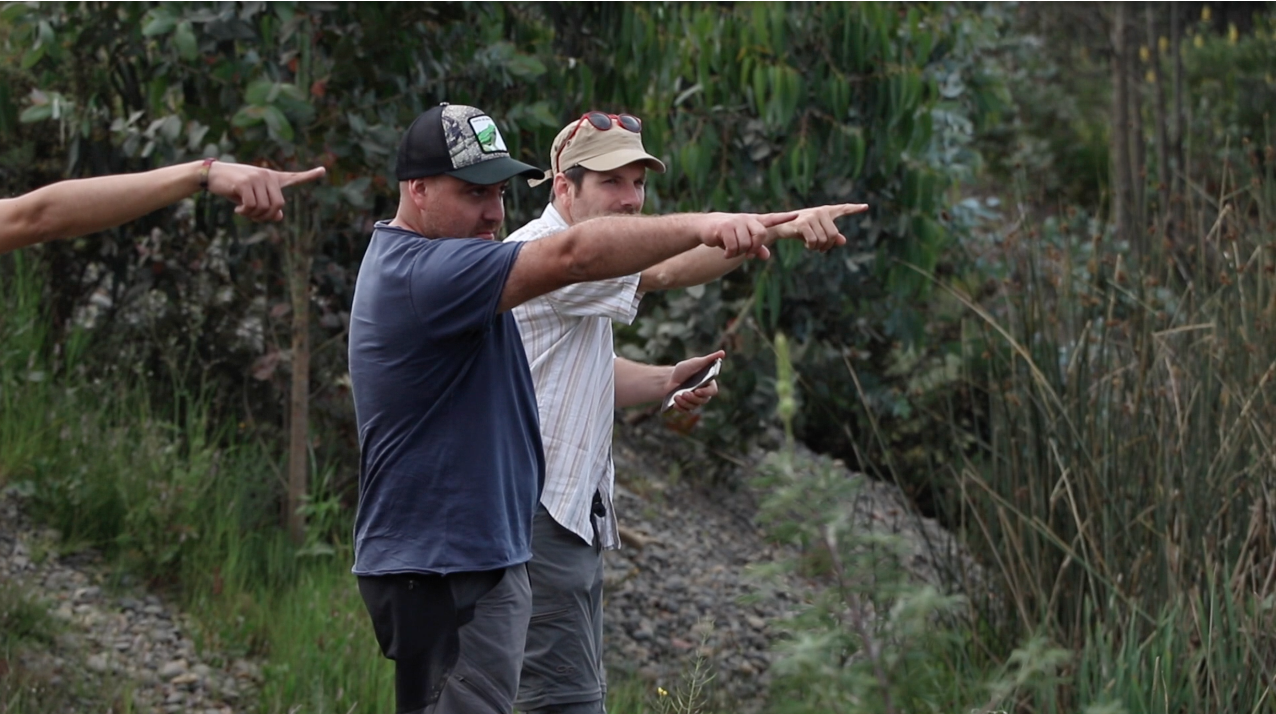Buscando sonidos en La Araucanía