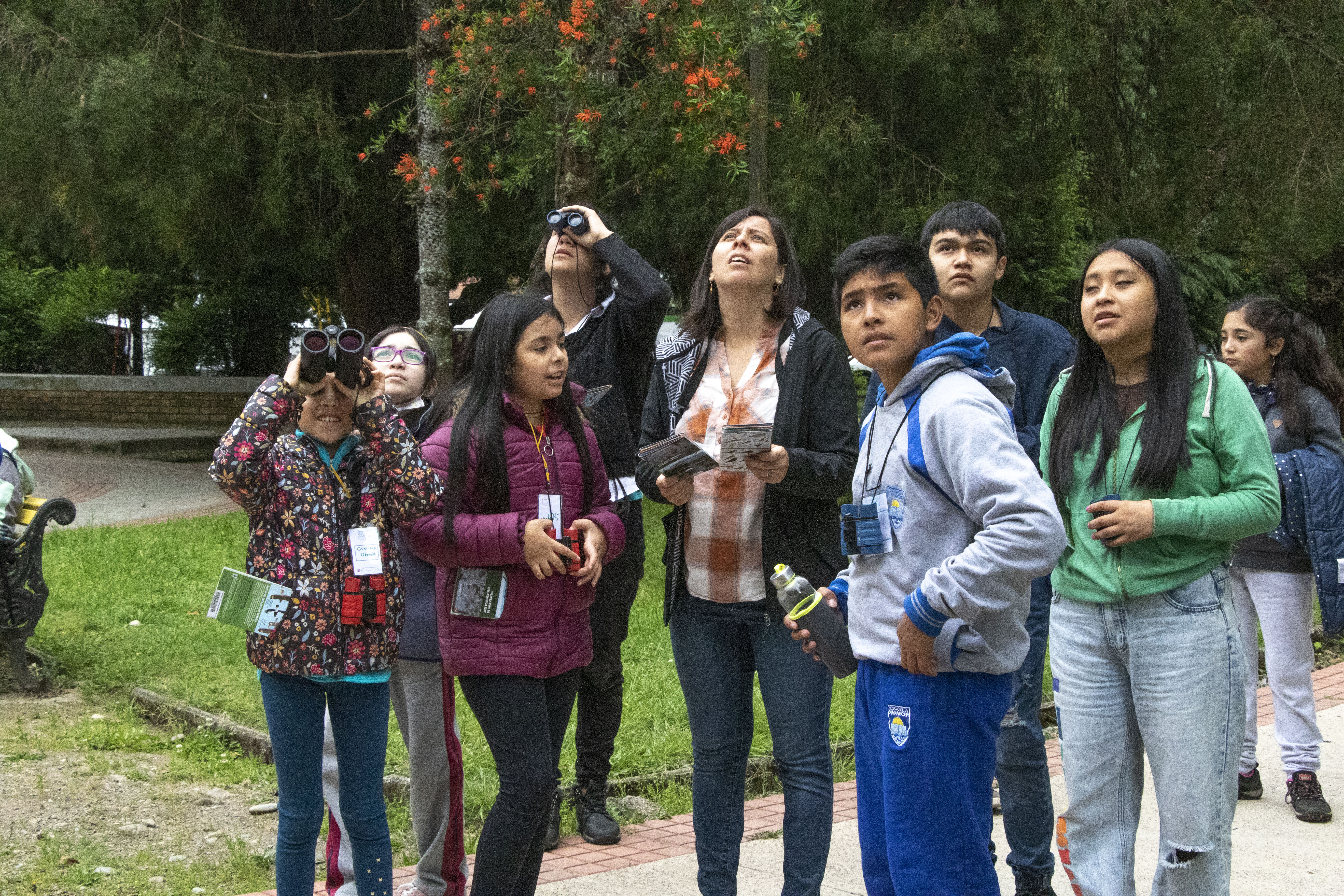 Desafío Explora La Araucanía: Programa de Investigación e Innovación Escolar