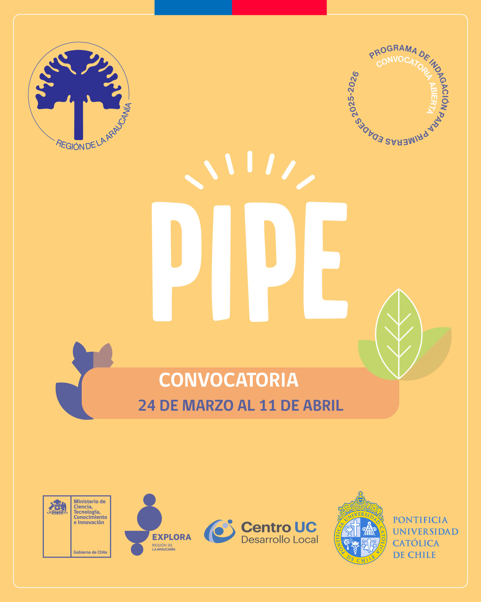 PIPE 2025: Programa de Indagación para Primeras Edades – Convocatoria 2025