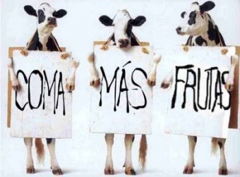 Vegetarianos y Veganos: una tendencia al alza