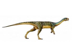 El raro dinosaurio descubierto por un niño de 7 años en Chile