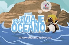 El océano de Chile en entretenido álbum