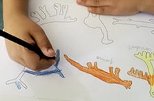 A veces los camélidos pueden ser azules