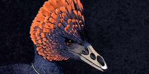 Científicos crean híbrido de pollo y dinosaurio para estudiar su evolución