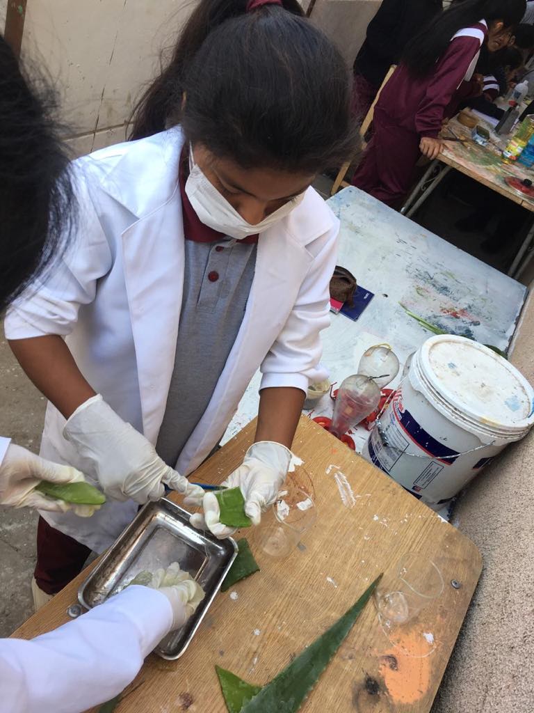 Estudiantes del Valle de Azapa van al rescate de la maracuyá mediante bioinsecticida