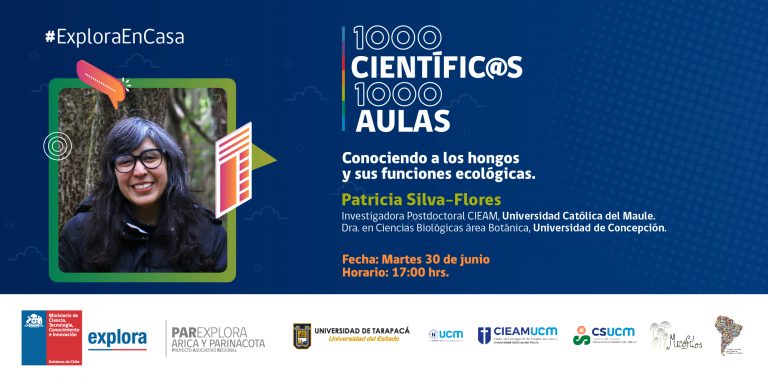 Conociendo a los hongos y sus funciones ecológicas