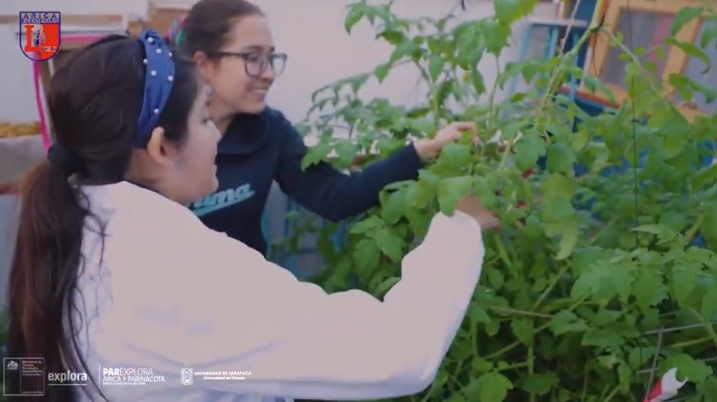 El invernadero que nació del abandono fue el más votado en Congreso de Ciencia y Tecnología