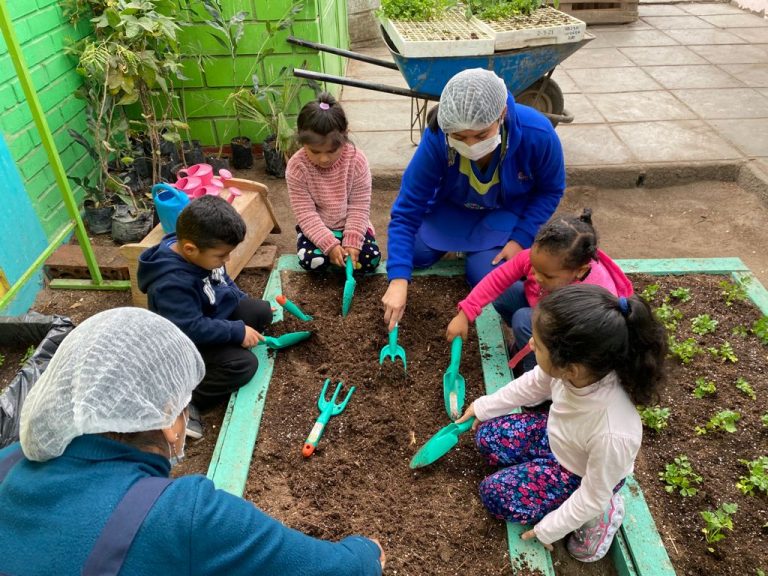 Jardín Infantil Caperucita crea huerto sustentable para desarrollar la indagación científica desde tempranas edades