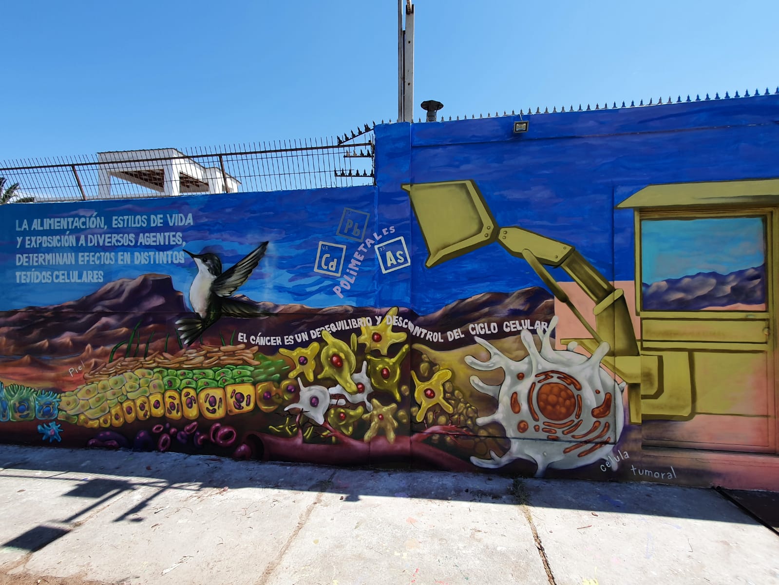 Del pizarrón al muro: cuando el arte y la ciencia se unen para comunicar