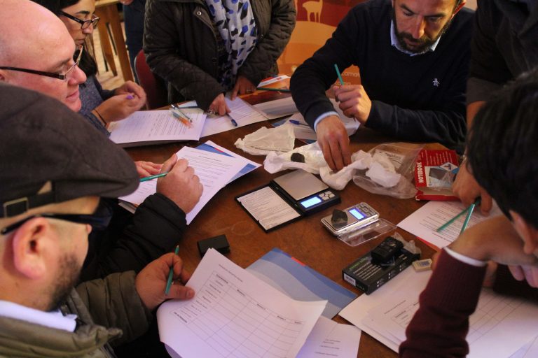 Primer taller de meteoritos para docentes en Copiapó contó con rocas  extraterrestres encontradas en el Desierto de Atacama