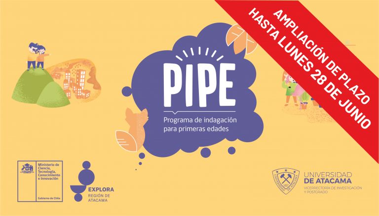 Descarga aquí las bases y formularios de PIPE