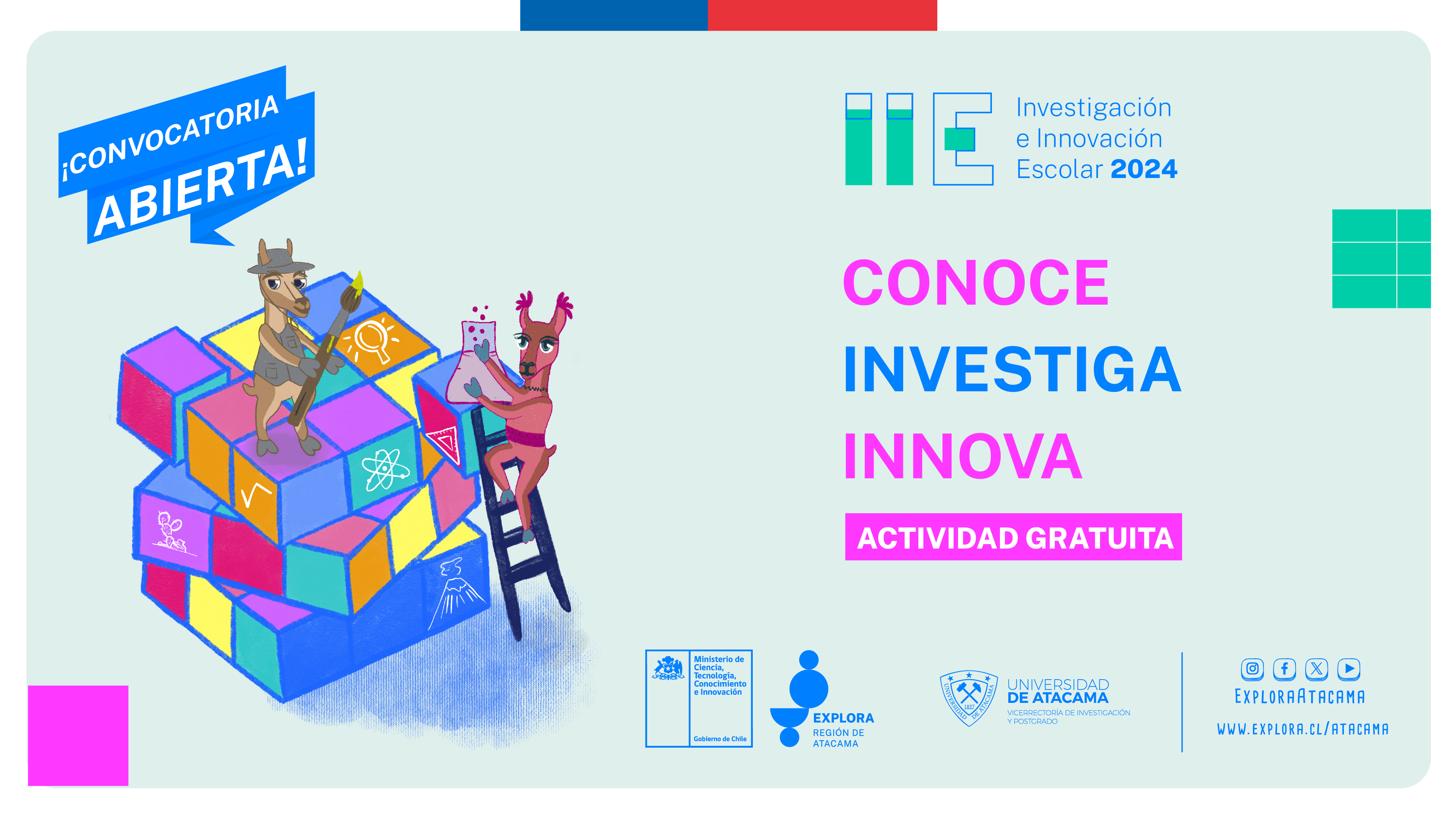 Convocatoria Academias de IIE 2024