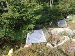 Con técnicas de vanguardia exploran efectos del cambio climático en la Patagonia