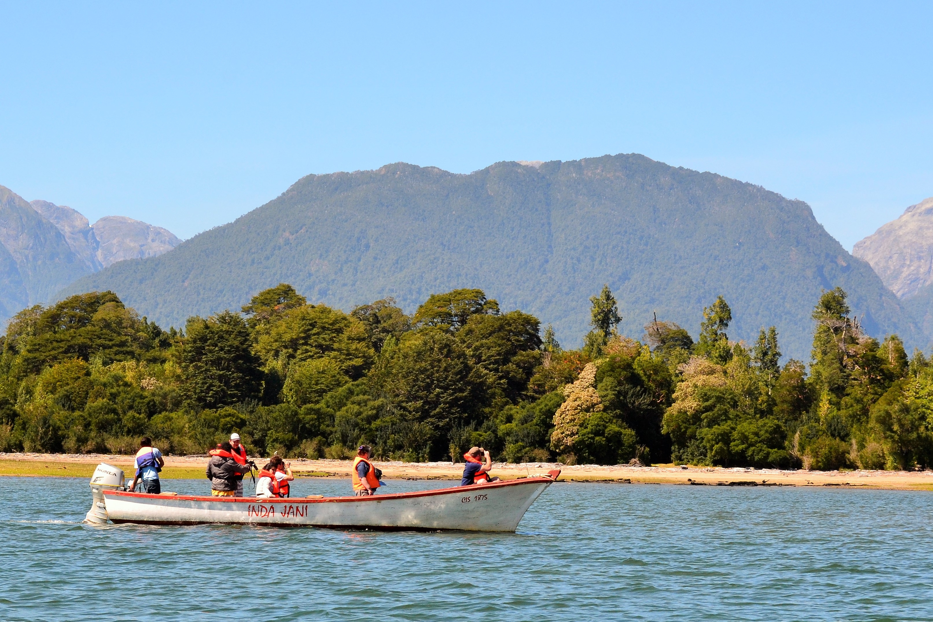 Con buenos resultados finalizó el primer censo comunitario de cetáceos de la región de Aysén