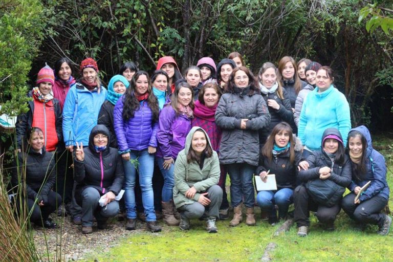 Educadoras y asistentes de Educación Parvularia participaron en alfabetización científica