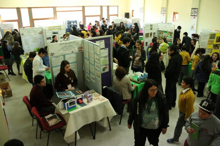Aysén ya tiene representantes para Congreso Nacional Escolar de Ciencia y Tecnología 2015