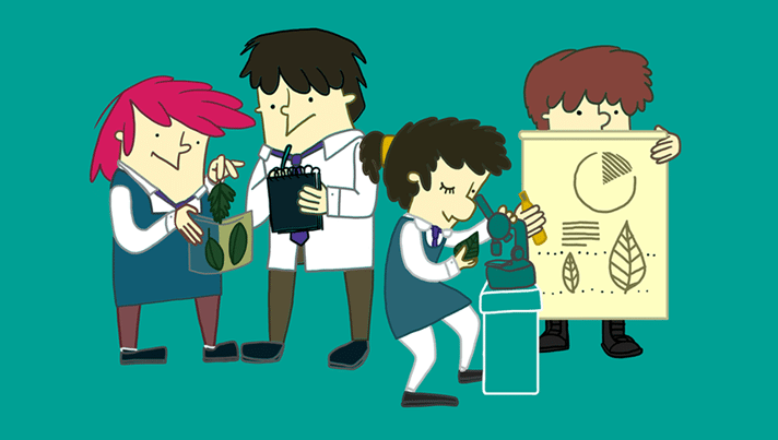 Ya están los resultados del concurso “Clubes de Apoyo a la Investigación Científica y Tecnológica Escolar”