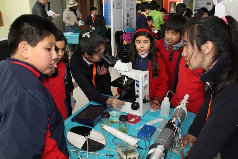 Estudiantes de Villa O’Higgins ganadores del Congreso Nacional viajaron a pasantía en Iquique