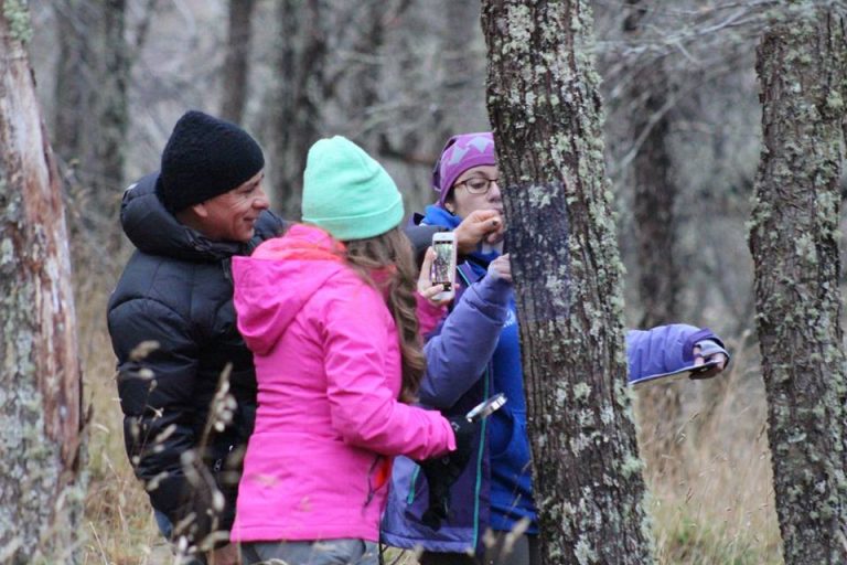 PAR Explora Aysén realizó taller de exploración de líquenes abierto a la comunidad