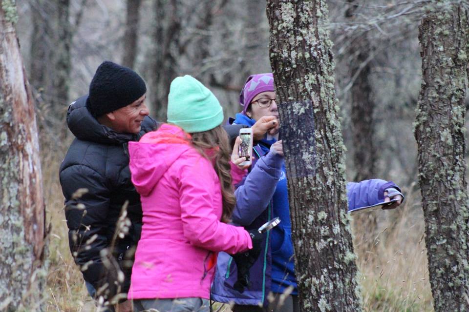 PAR Explora Aysén realizó taller de exploración de líquenes abierto a la comunidad