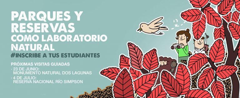 Conéctate con el bosque: participa en “Parques y Reservas como Laboratorio Natural”