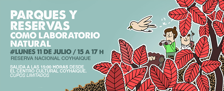 Próximo lunes: participa en un taller de acercamiento a la microflora del bosque en la Reserva Nacional Coyhaique
