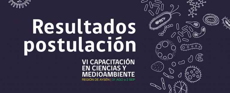 VI Capacitación en Ciencias y Medioambiente: resultados de la postulación