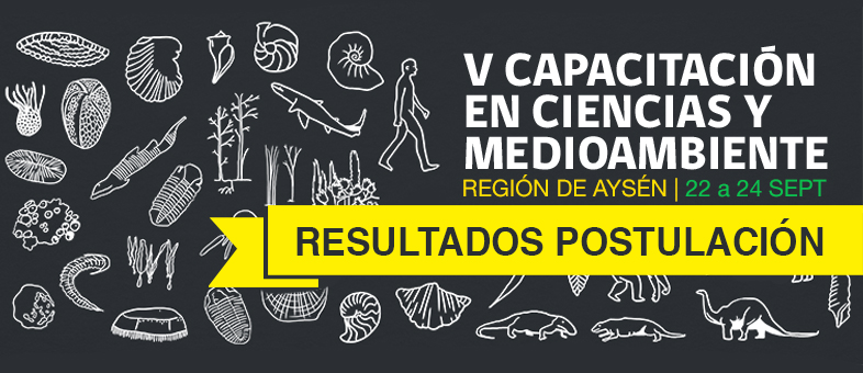 Revisa los resultados de la postulación a la V Capacitación en Ciencias y Medioambiente