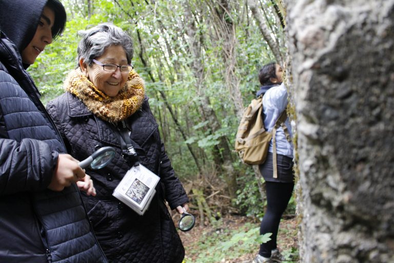 Relevan microbosque de Aysén con visitas educativas﻿