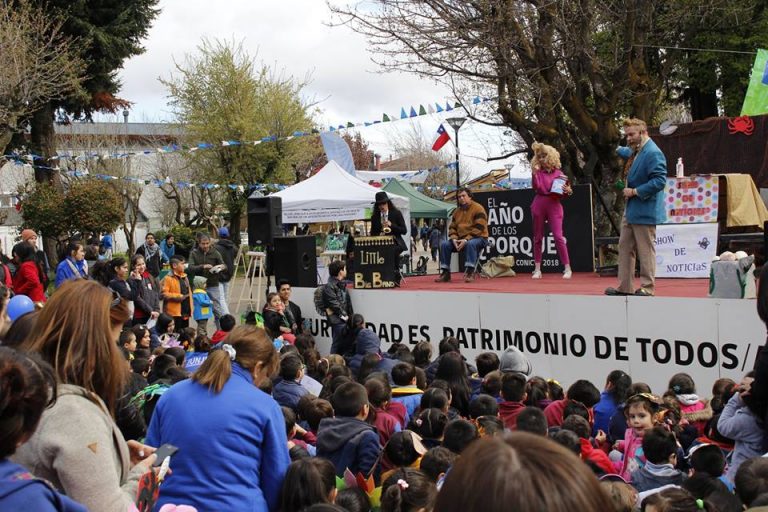 Universidad Austral de Chile se adjudicó iniciativas de divulgación científica en Los Ríos, Los Lagos y Aysén