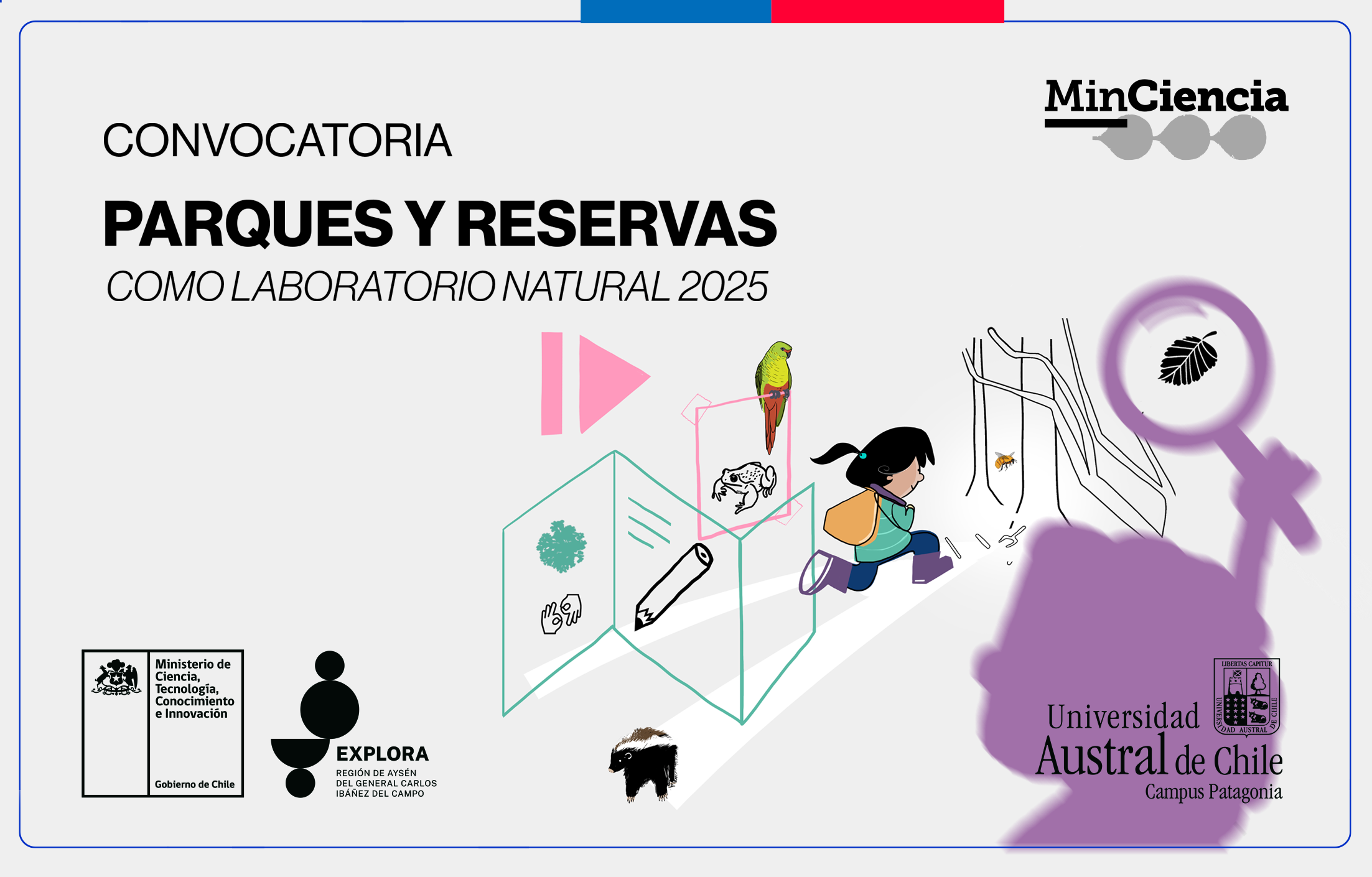 Convocatoria abierta: Explora Aysén invita a docentes y estudiantes a descubrir la biodiversidad regional