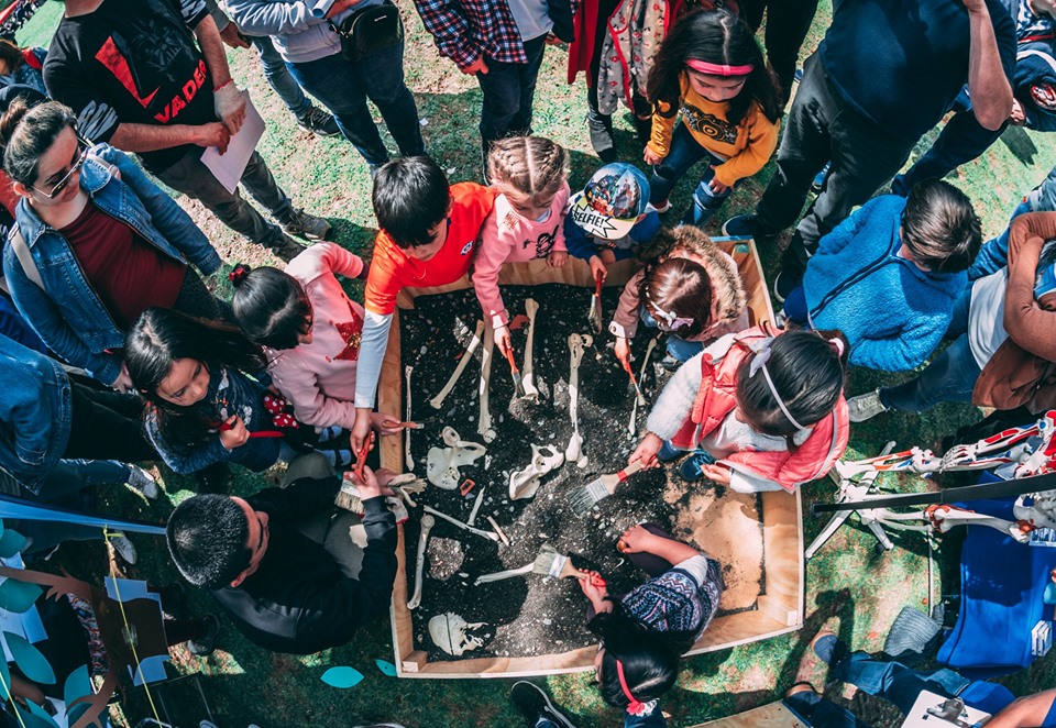 ¿Quién dijo que la ciencia es fome?