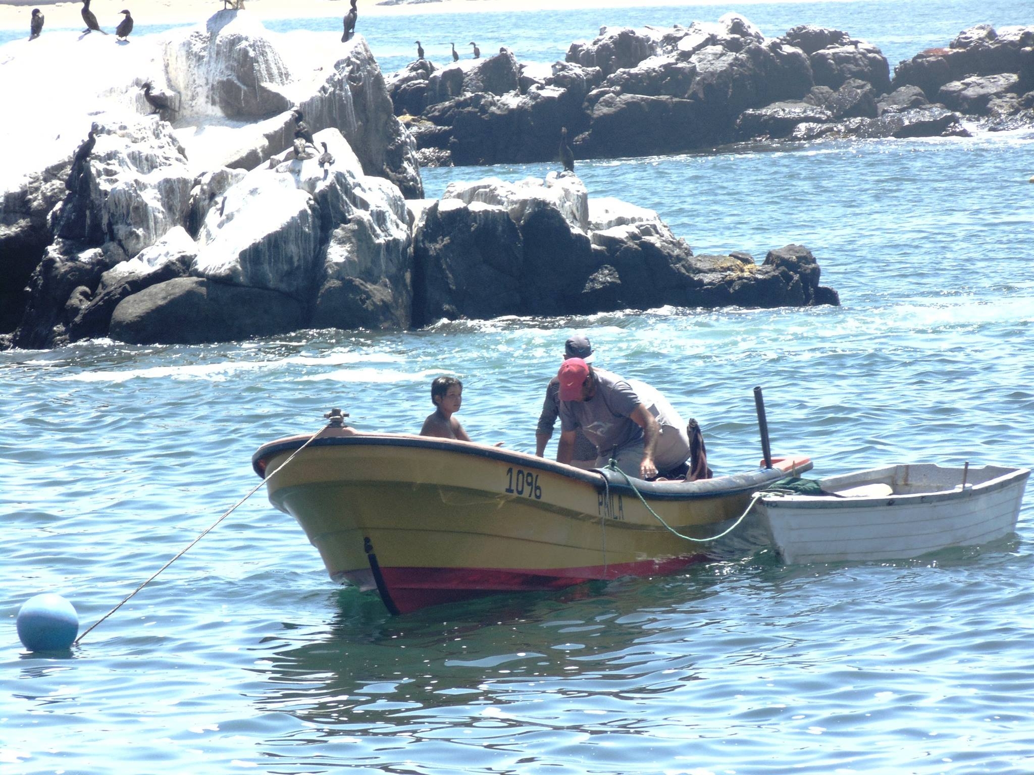 Región de Coquimbo recibe este año el Congreso de Ciencias del Mar