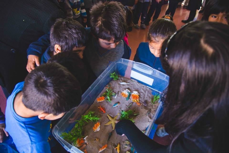 Muestra de Contaminación Marina: El daño provocado al ecosistema puede ser irreparable