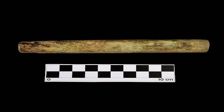 Conoce la pieza destacada del mes del Museo del Limarí: Tubos de hueso “Copuna”