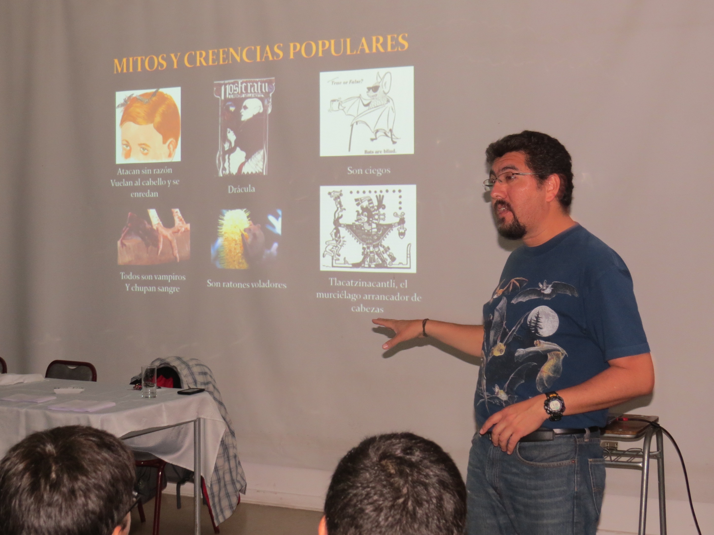 El universo desconocido de los murciélagos